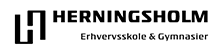 Herningsholm Erhvervsskole & Gymnasier logo