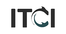 Itci One Systems logo
