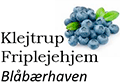 Den Selvejende Institution Klejtrup Friplejehjem logo