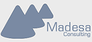 Madesa Consulting logo