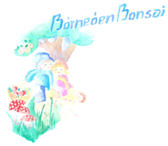 Børneøen Bonsai logo