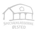 Rudolf Steiner - Skolen I Odense logo
